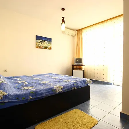 Pensjonat Vila Leonard *