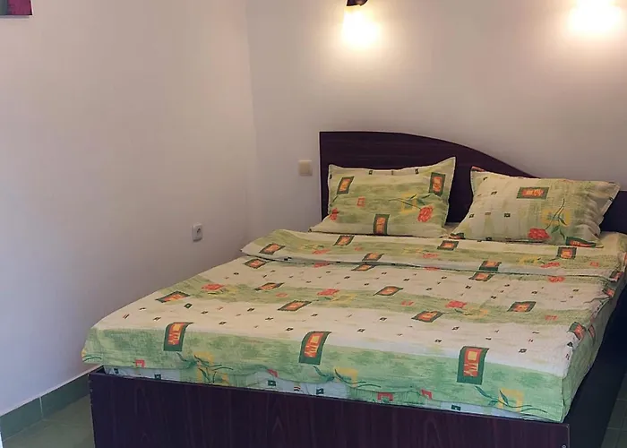 Vila Leonard * Костинешти