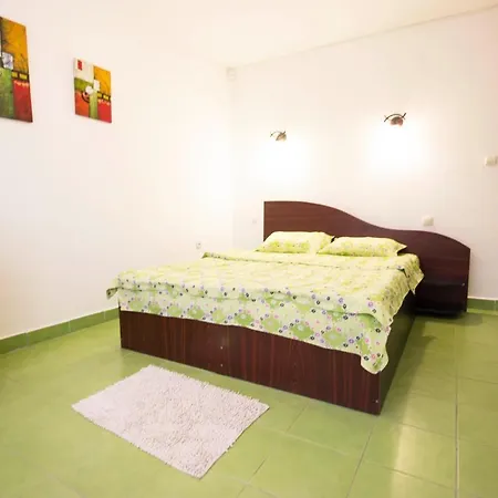 Pensiune Vila Leonard *