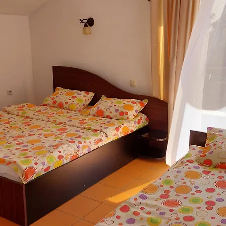 Vila Leonard Pensiune